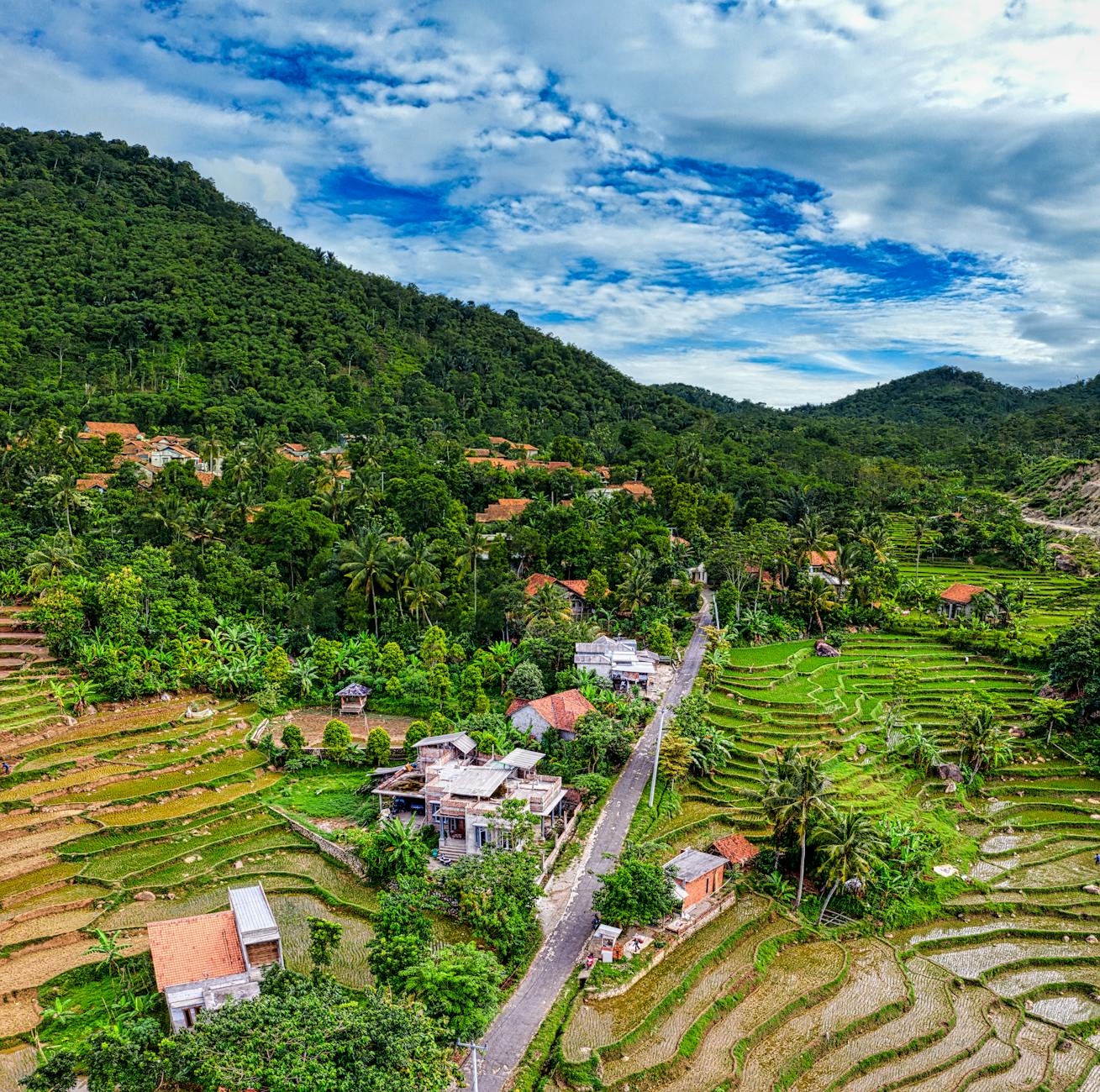 Website termurah se Indonesia dengan harga murah dan kualitas terbaik